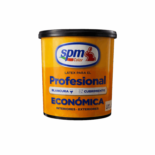 SPM ECONÓMICA